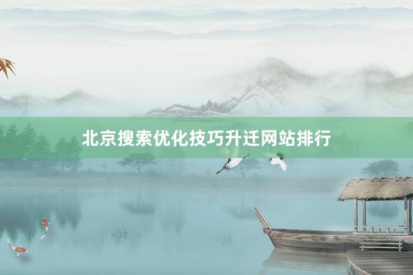 北京搜索优化技巧升迁网站排行