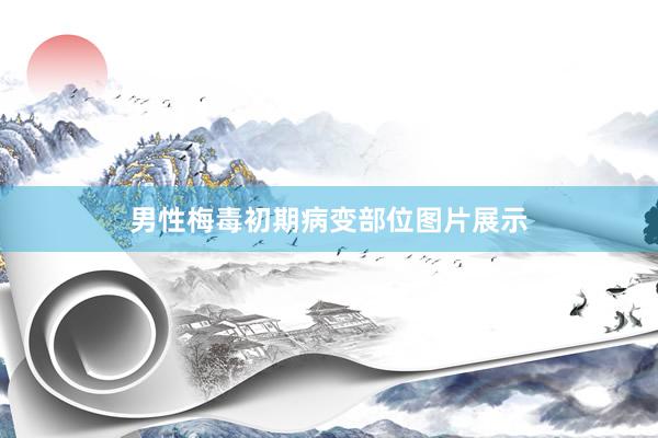 男性梅毒初期病变部位图片展示