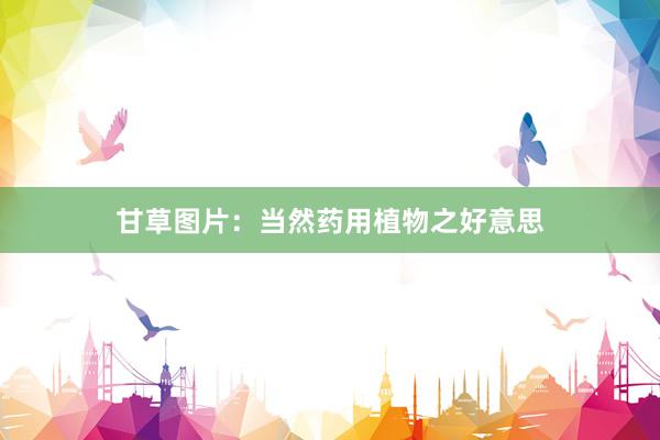 甘草图片：当然药用植物之好意思