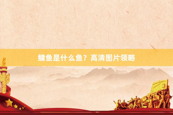 鳙鱼是什么鱼？高清图片领略